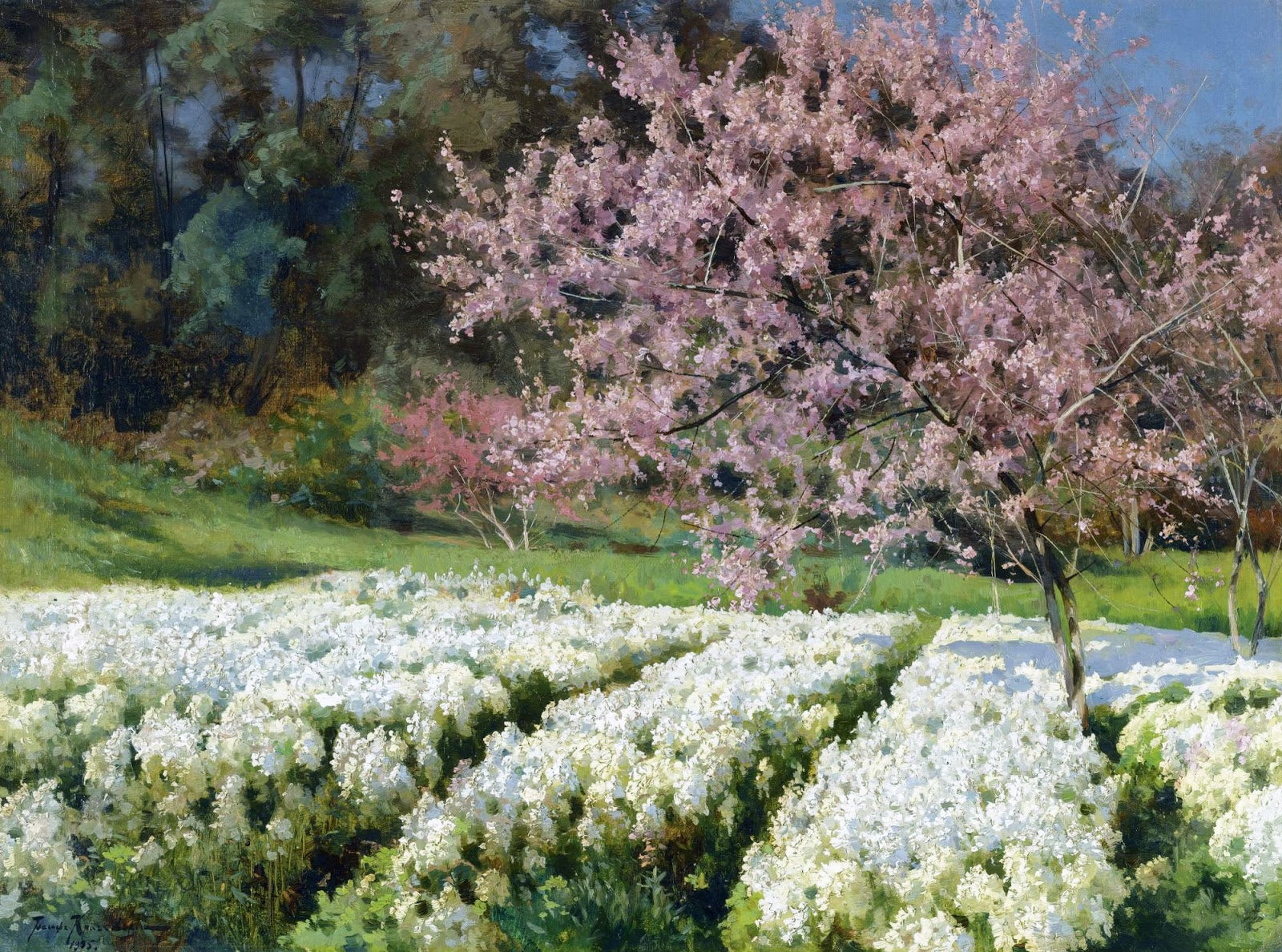 Spring blossoms by Iosif Krachkovsky,A3(16x12")Poster