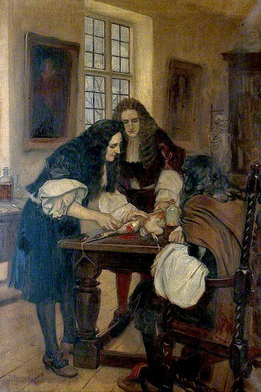 ng Drugs into a Vein, before Dr Willis, 1667 by Ernest Board,16x12(A3) Poster