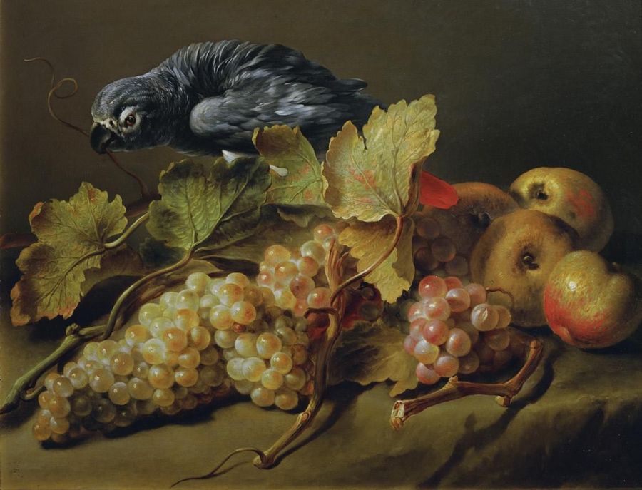 Still Life with a Parrot and Grapes, vintage artwork by Erasmus Engert, A3 (16x12") Poster Print