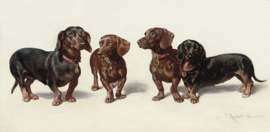 Four Dachshunds, vintage artwork by Carl Reichert, 12x8" (A4) Poster