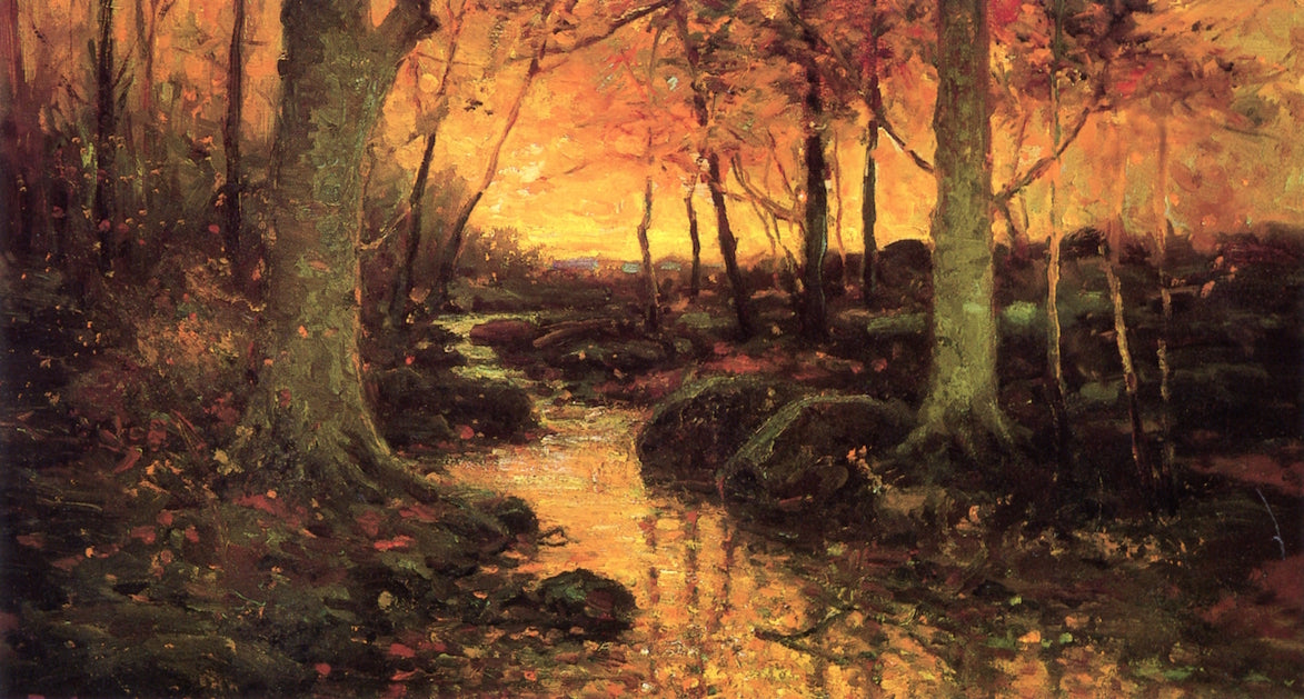 Sunset in Wood after Rain by Frank Coburn,A3(16x12")Poster