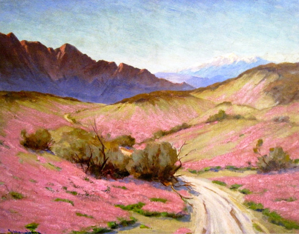 Desert Verbena, vintage artwork by Jean Mannheim, 12x8" (A4) Poster