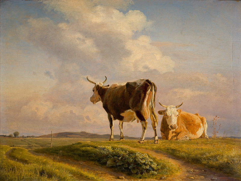 Two Cows in an Open Field, vintage artwork by Johan Thomas Lundby e, A3 (16x12") Poster Print