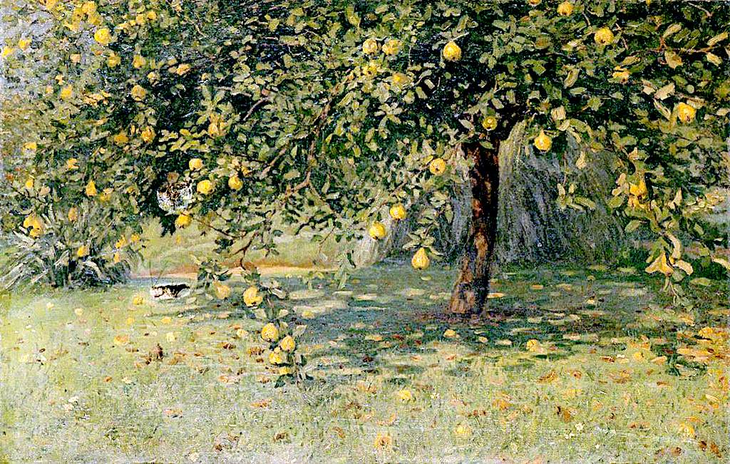 The Quince Tree by Woodbine Kendall Hinchliff,16x12(A3) Poster