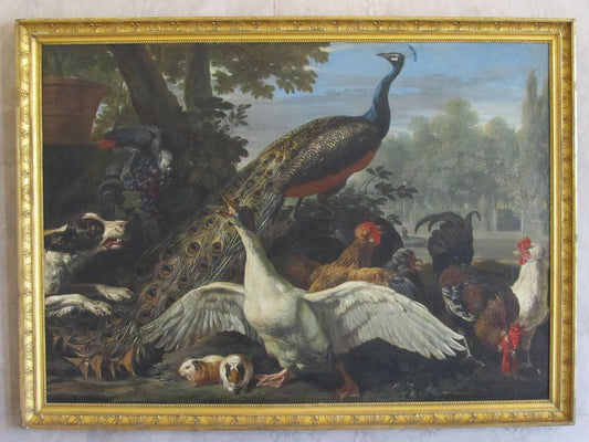 Goose and Peacock Attacked by  a Dog, vintage artwork by David de Coninck, 12x8" (A4) Poster