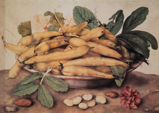 Plate of Peas, vintage artwork by Giovanna Garzoni, 12x8" (A4) Poster