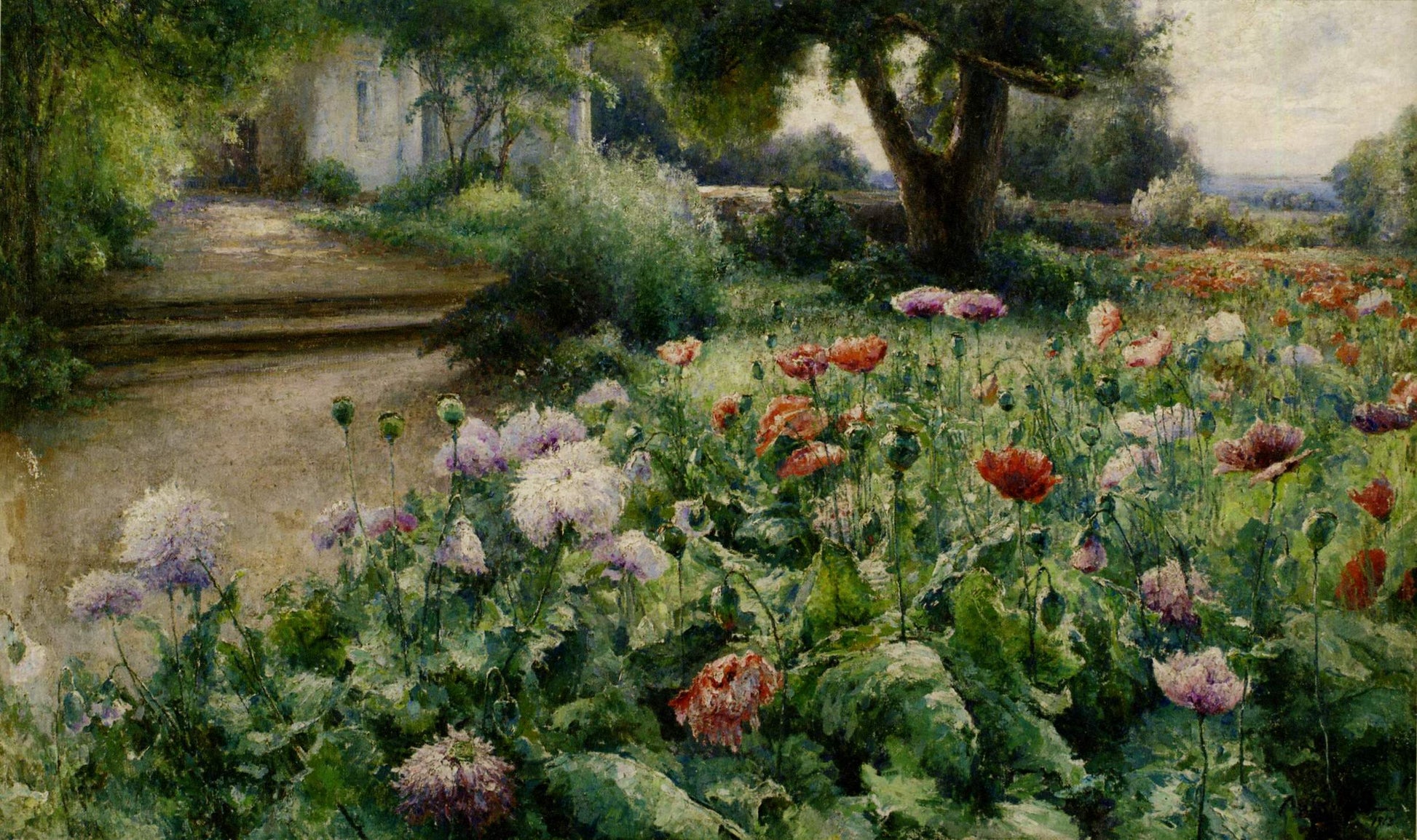 June. Poppies, vintage artwork by Mikhail Berkos, 12x8" (A4) Poster