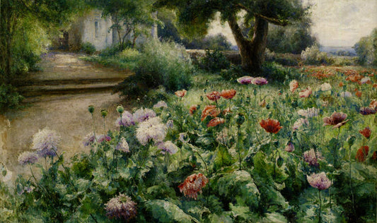 June. Poppies, vintage artwork by Mikhail Berkos, 12x8" (A4) Poster