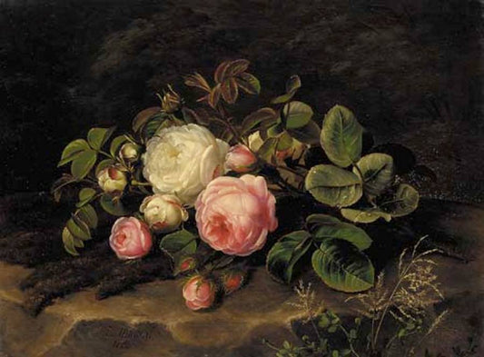 Pink and white roses on a mossy rock, vintage artwork by Johan Laurentz (J.L.) Jensen, A3 (16x12") Poster Print