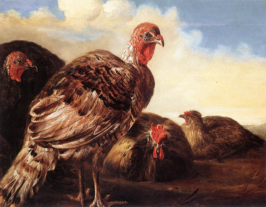 Domestic Fowl, vintage artwork by Aelbert Cuyp, 12x8" (A4) Poster