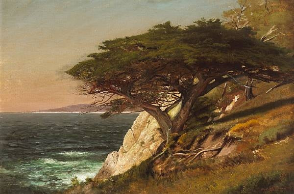 Cypress Tree, Carmel Bay, California, vintage artwork by Raymond Dabb Yelland, 12x8" (A4) Poster