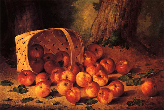 Basket of Apples, vintage artwork by Bryant Chapin, 12x8" (A4) Poster
