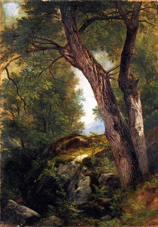 Butternut Tree at Hague, Lake George, New York, vintage artwork by Asher Brown Durand, A3 (16x12") Poster Print