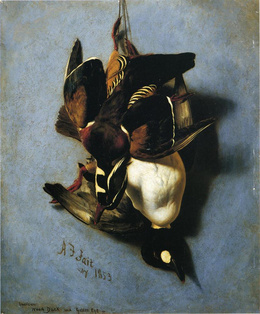 American Wood Duck and Golden Eye, vintage artwork by Arthur Fitzwilliam Tait, A3 (16x12") Poster Print