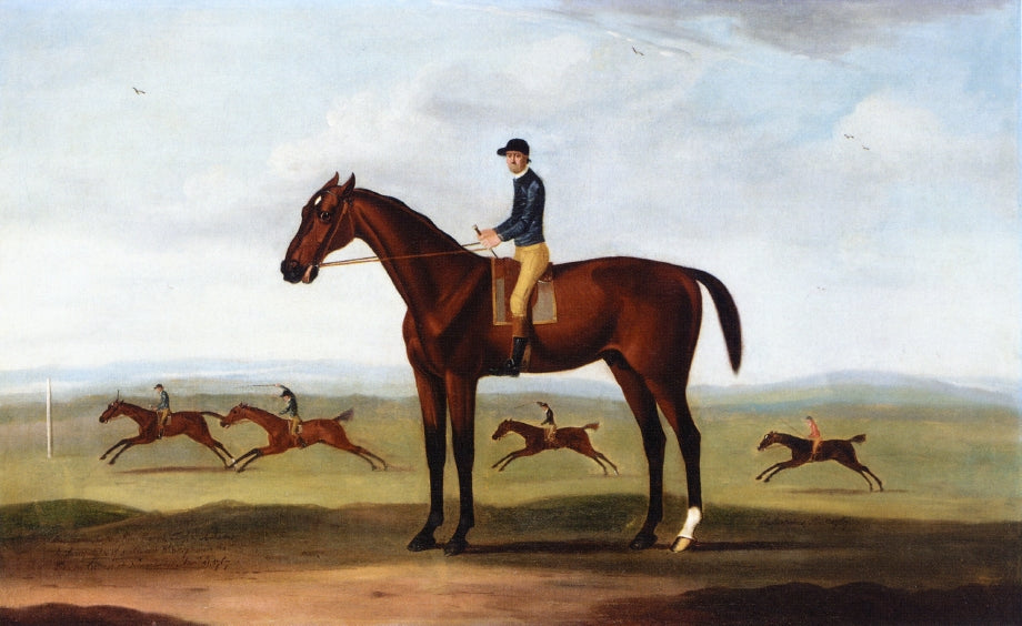 Bay Melton with Jockey Up, Bay Melton Beating King Herod, Turf and Ascham in a Sweepstake Race Beyond, vintage artwork by Francis Sartorius, 12x8" (A4) Poster