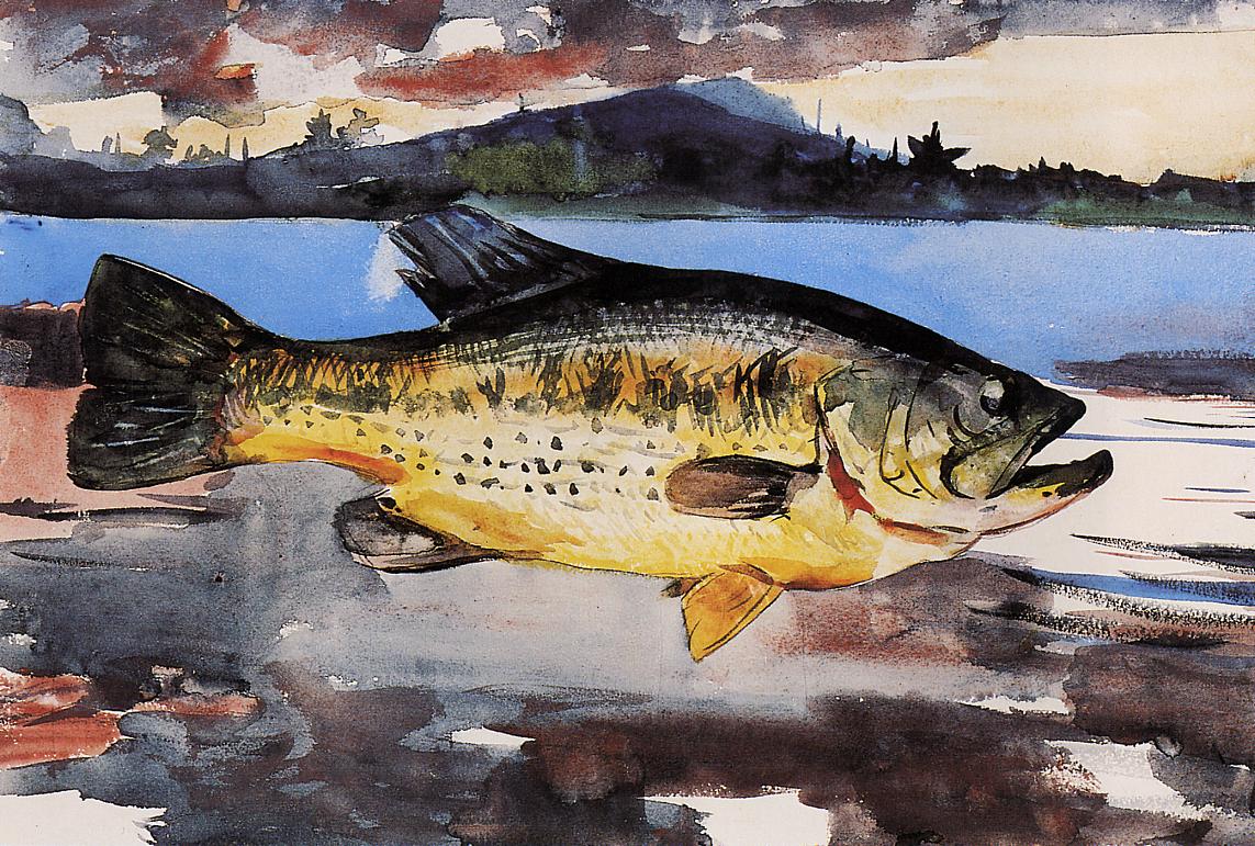 Bass, vintage artwork by Winslow Homer, 12x8" (A4) Poster