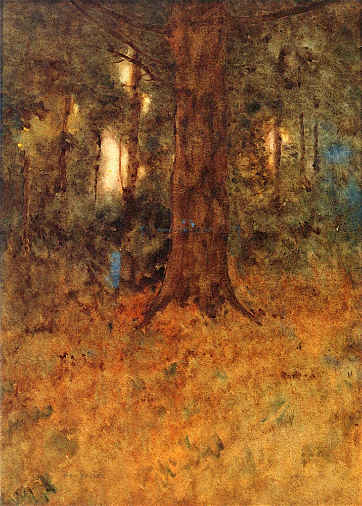 A Dim Old Forest, vintage artwork by Ben Foster, 12x8" (A4) Poster