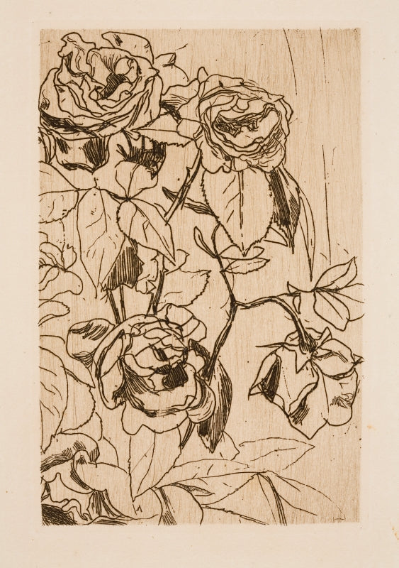 Study of roses by Floris Verster,A3(16x12")Poster