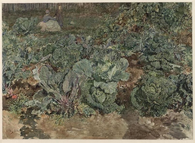 Gemüsegarten mit Kraut und Kohl, vintage artwork by Rudolf von Alt, A3 (16x12") Poster Print