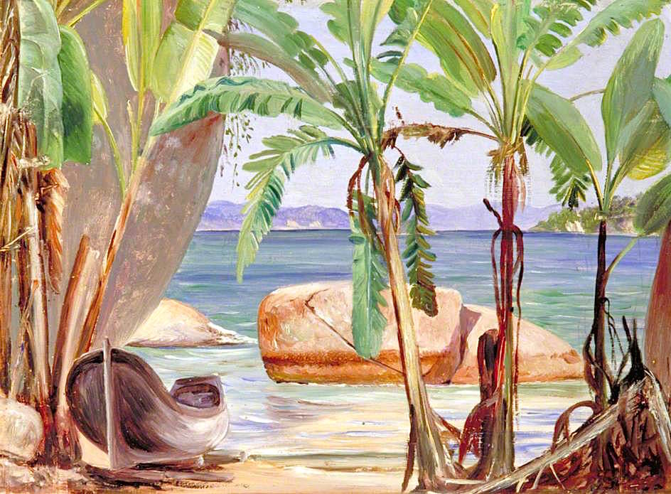 Bananas and Rocks at Paquita, Brazil, vintage artwork by Marianne North, 12x8" (A4) Poster