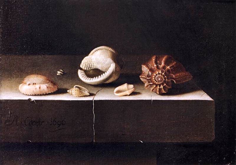 Still Life with Two Large and Four Smaller Shells, vintage artwork by Adriaen Coorte, 12x8" (A4) Poster