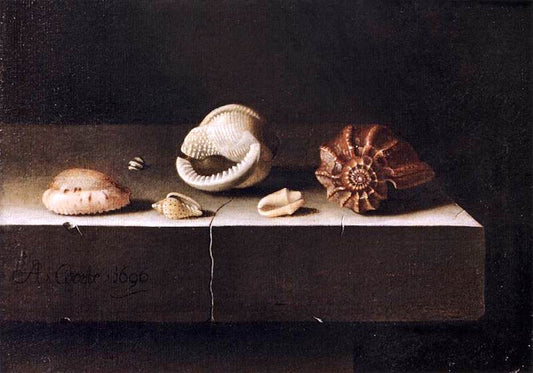 Still Life with Two Large and Four Smaller Shells, vintage artwork by Adriaen Coorte, 12x8" (A4) Poster