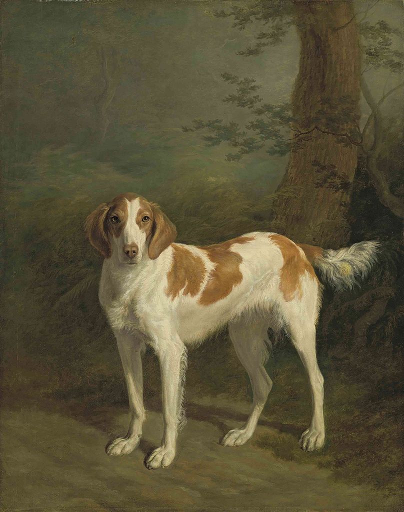 Dash, a setter in a wooded landscape, vintage artwork by Jacques-Laurent Agasse, 12x8" (A4) Poster