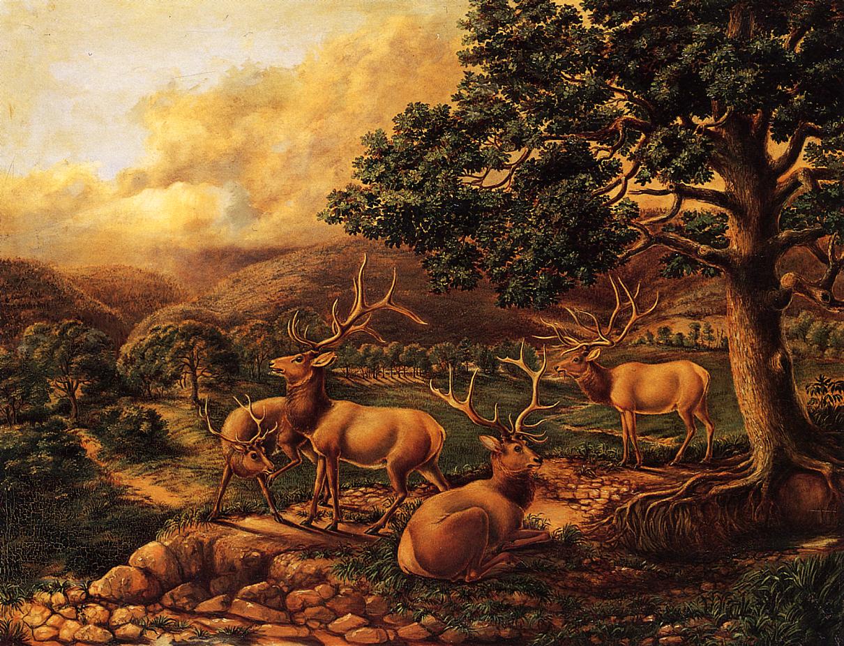 Four Elk, vintage artwork by Titian Ramsey Peale II, A3 (16x12") Poster Print