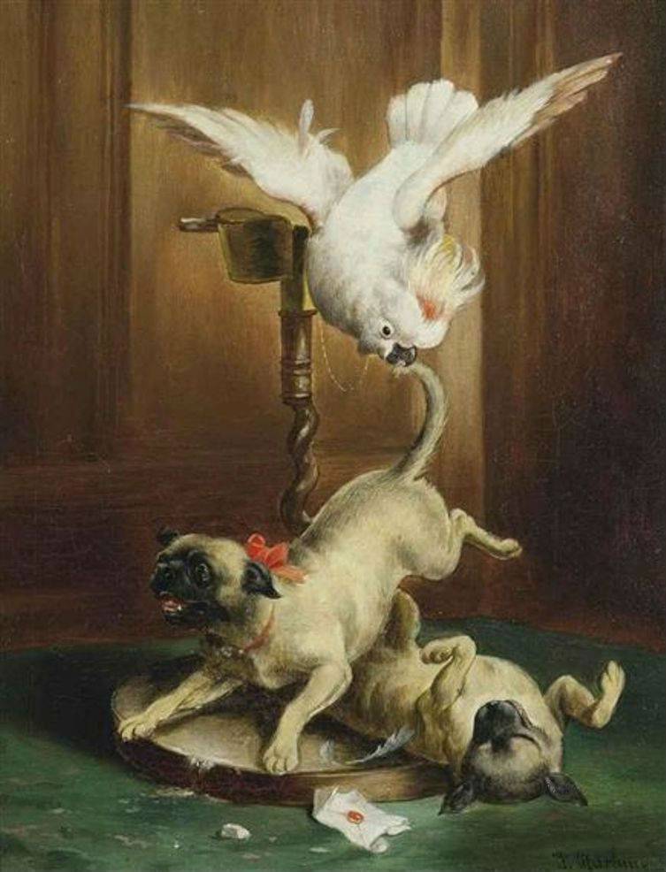 Parrot and Pugs, vintage artwork by Carl Reichert, 12x8" (A4) Poster