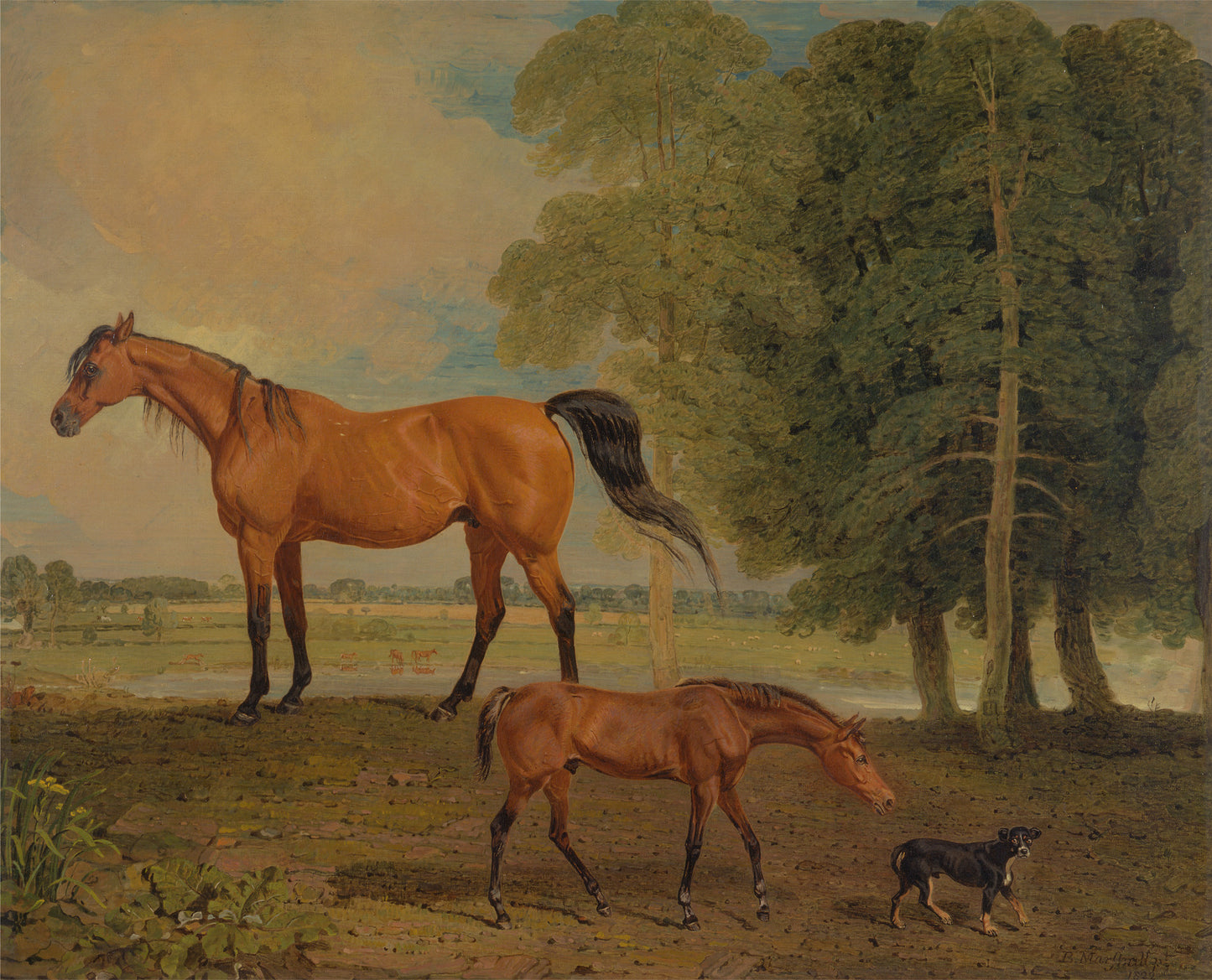 Broodmare with Foal, and a Terrier, vintage artwork by Benjamin Marshall, 12x8" (A4) Poster