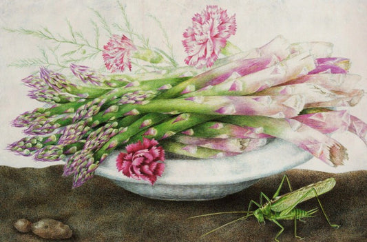 Plate of Asparagus with Carnations and a Grasshopper, vintage artwork by Giovanna Garzoni, 12x8" (A4) Poster
