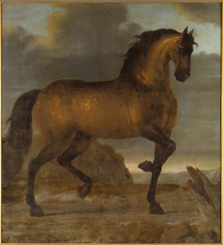King Karl XI's Horse 'Stenbock', vintage artwork by David Klocker Ehrenstrahl, 12x8" (A4) Poster