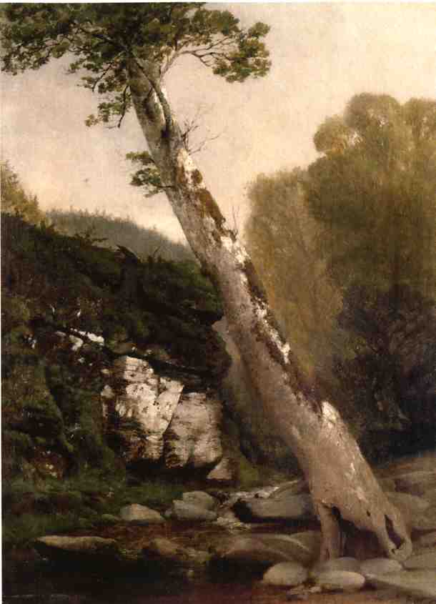 Sycamore, Catskill Clove, Below Haines Falls, vintage artwork by John Williamson, 12x8" (A4) Poster