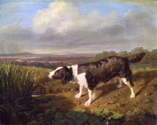 Count Esterházy's Hunting Dog, Standing by  the Stream, vintage artwork by Ferdinand Georg Waldmüller, A3 (16x12") Poster Print