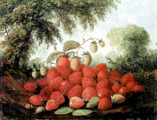 Strawberries Spilling from a Basket and Growing on a Bush, vintage artwork by Paul Lacroix, 12x8" (A4) Poster