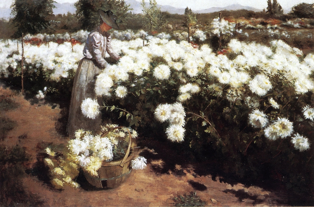 Chrysanthemum Garden in Southern California, vintage artwork by Fannie Eliza Duvall, 12x8" (A4) Poster
