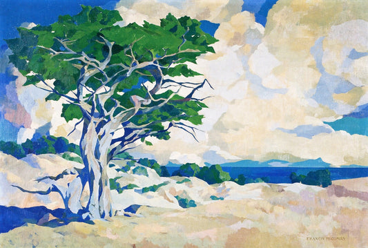 Monterey Cypress, vintage artwork by Francis John McComas, 12x8" (A4) Poster