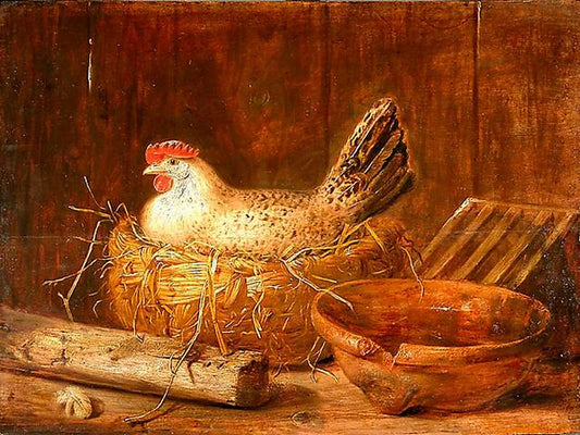 A hen on the nest, vintage artwork by Govert Dircksz. Camphuysen, 12x8" (A4) Poster