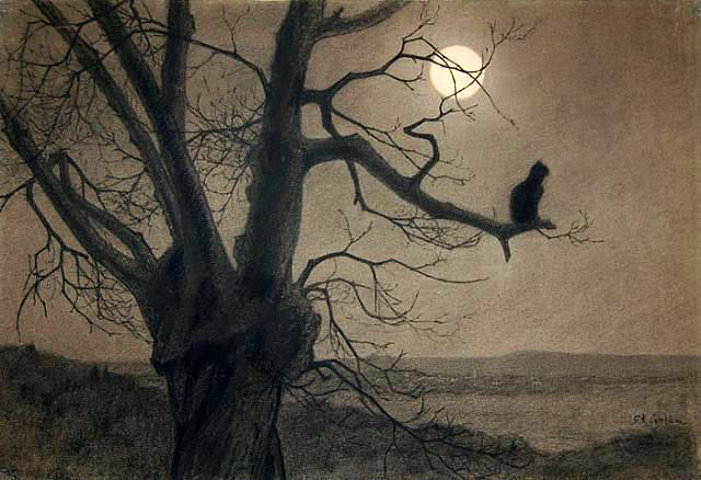 Chat au clair-de-lune by Theophile-Alexandre Steinlen,A3(16x12")Poster