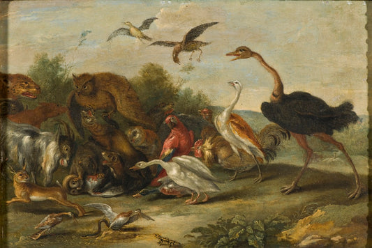 Battle between Owls and Quadrupeds, vintage artwork by Jan van Kessel the Elder, 12x8" (A4) Poster