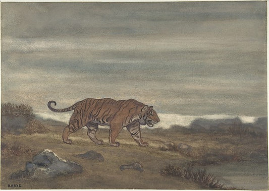 Tiger Approaching a Pool, vintage artwork by Antoine-Louis Barye, A3 (16x12") Poster Print