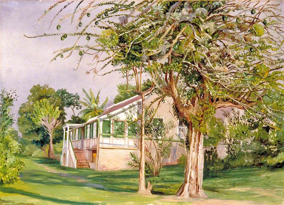 Bermuda Mount, Jamaica, vintage artwork by Marianne North, 12x8" (A4) Poster