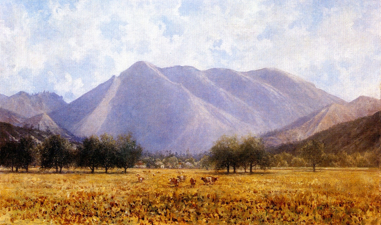  Saint Helena from Knight's Valley by Lorenzo Palmer Latimer,A3(16x12")Poster