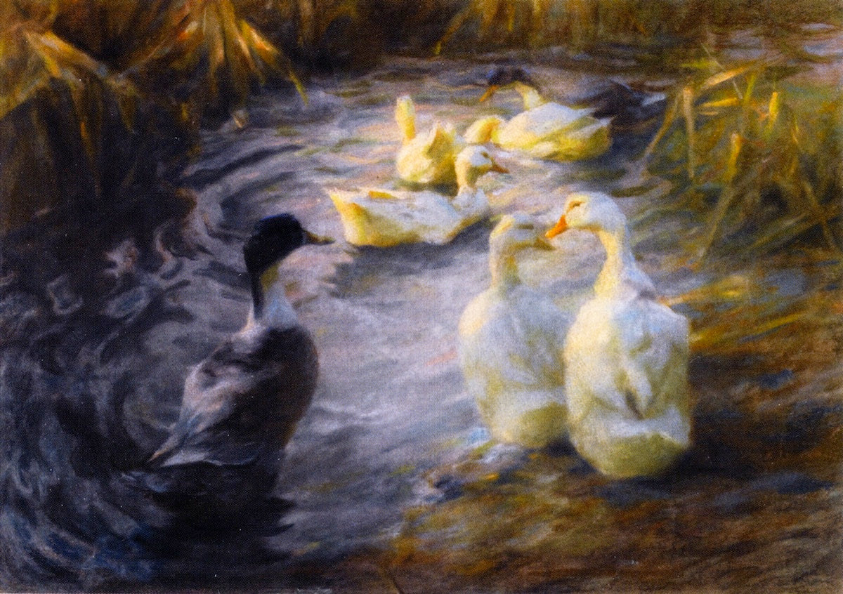 Ducks among the Reeds in a Pond, vintage artwork by Alexander Koester, 12x8" (A4) Poster