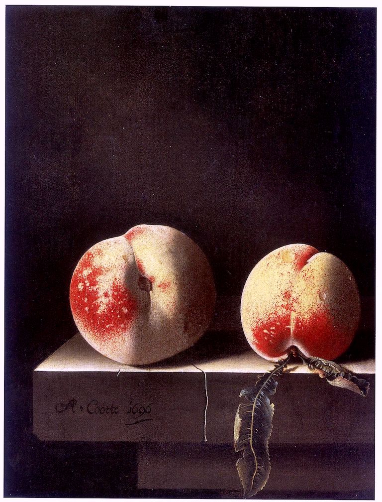 Two Peaches, vintage artwork by Adriaen Coorte, 12x8" (A4) Poster