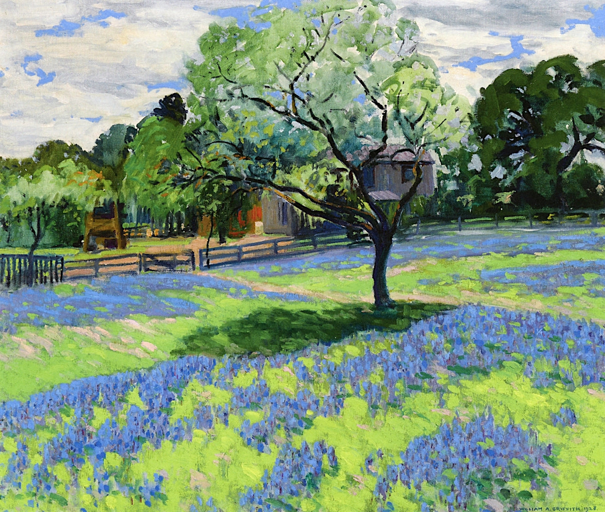 Lupine in Bloom on a Ranch by William Alexander Griffith,A3(16x12")Poster