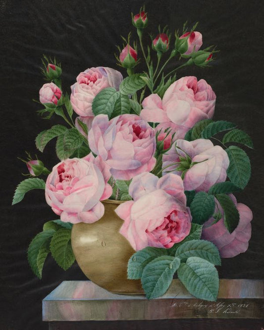 Pink Roses in a Vase, vintage artwork by Pierre-Joseph Redoute, 12x8" (A4) Poster