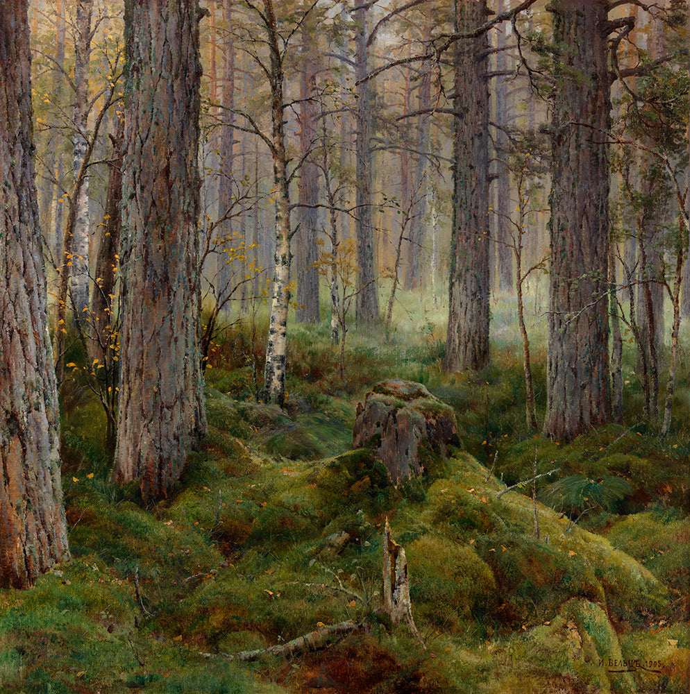 Birch Forest, vintage artwork by Ivan Weltz, 12x8" (A4) Poster