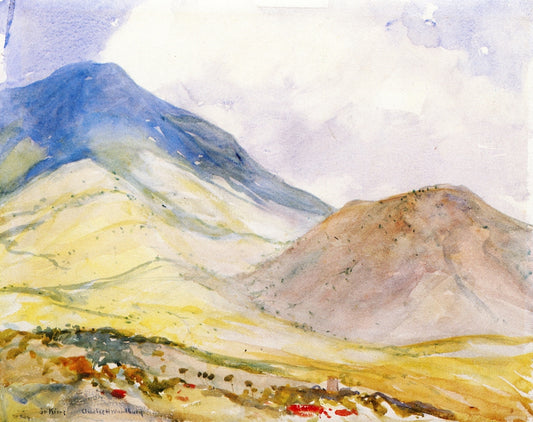 Monkey Hill, St. Kitts, vintage artwork by Charles H. Woodbury, 12x8" (A4) Poster