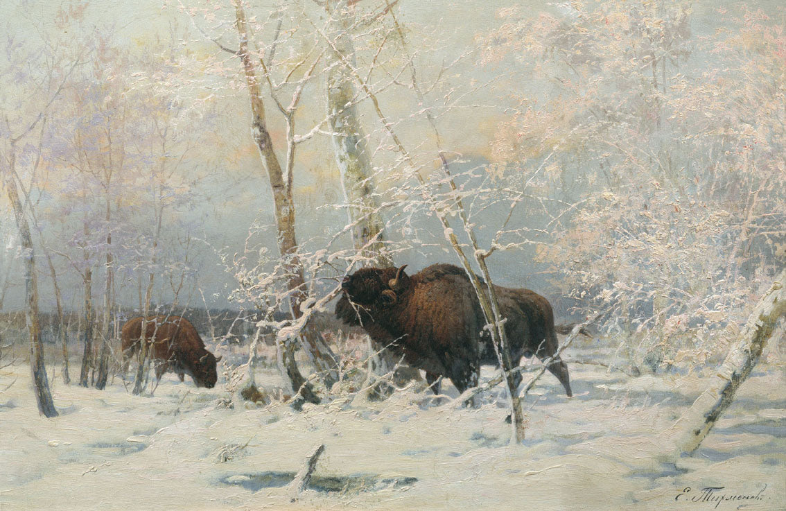Bison in the Winter Forest by Yevgeny Tikhmenev,A3(16x12")Poster
